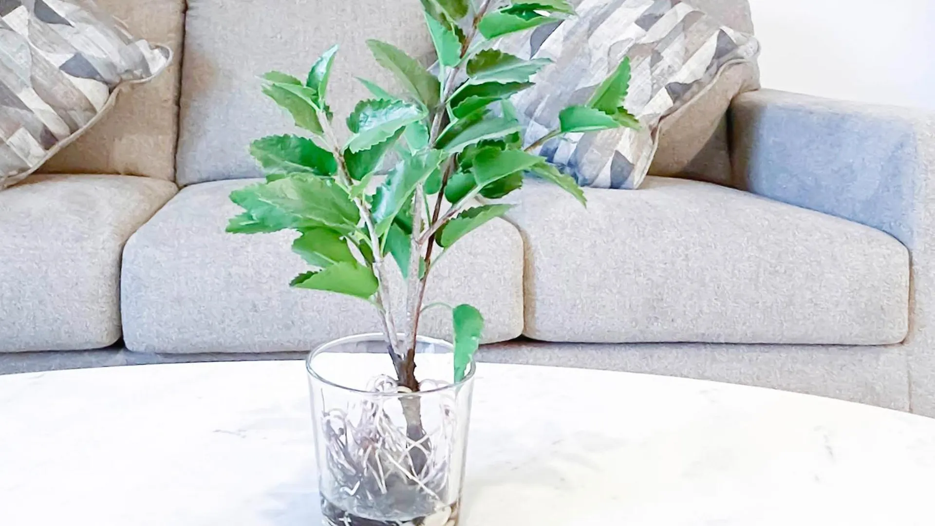 Exclusive One-Bedroom Apartment In Asyel 3 Dubai